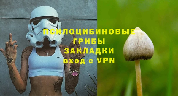 прущий лед Алексин