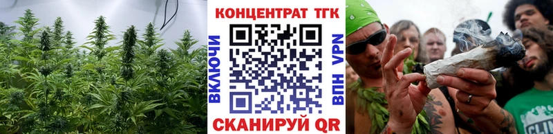 OMG онион  Юрьевец  Дистиллят ТГК THC oil 