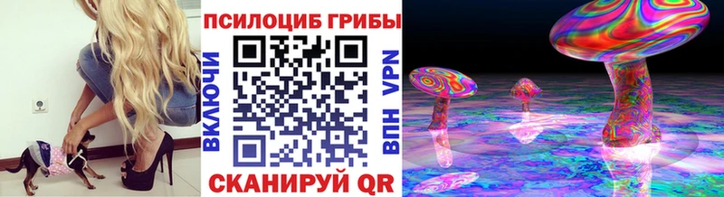 Псилоцибиновые грибы ЛСД  магазин    Юрьевец 